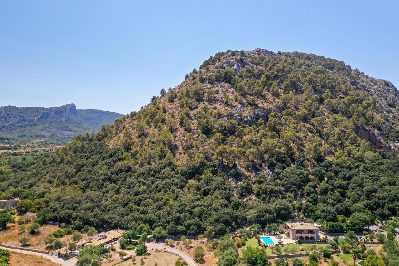 Plomera * Pollenca