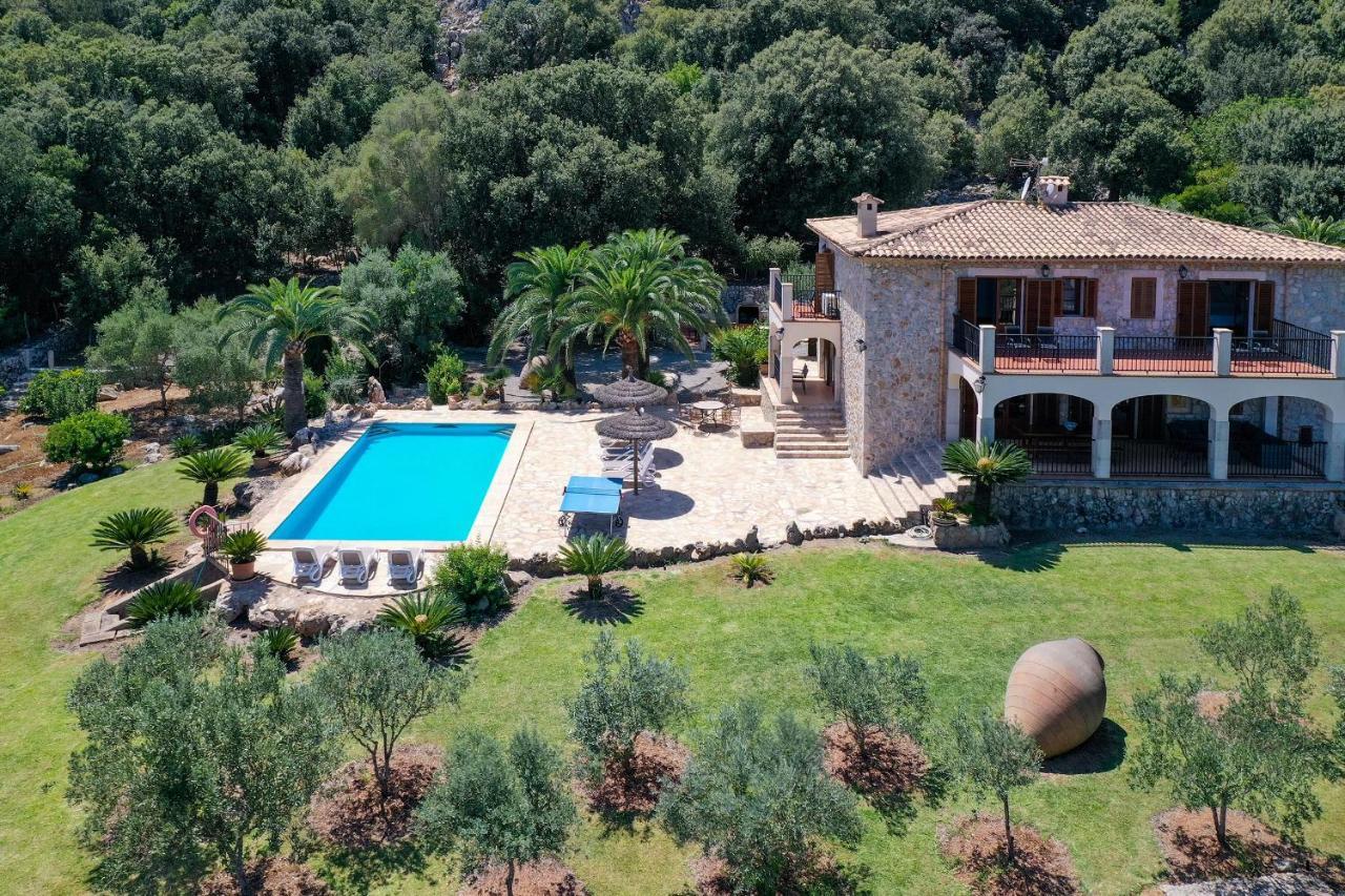 Plomera Pollenca
